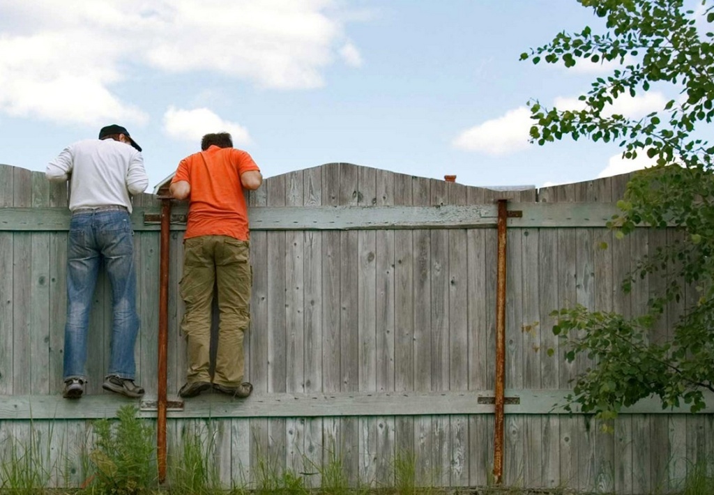 какой забор можно ставить между соседями